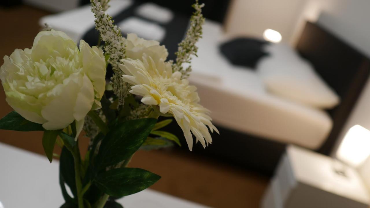 Hotel Bily Konicek Třeboň Kültér fotó